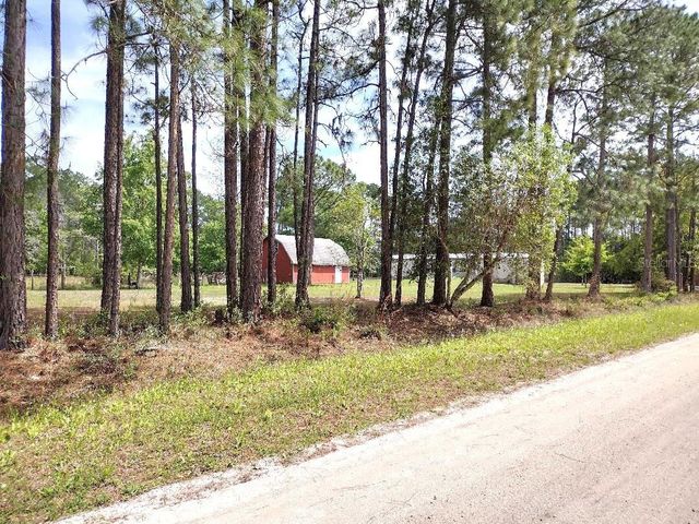 4442 CLOVE AVENUE, Bunnell, FL 32110