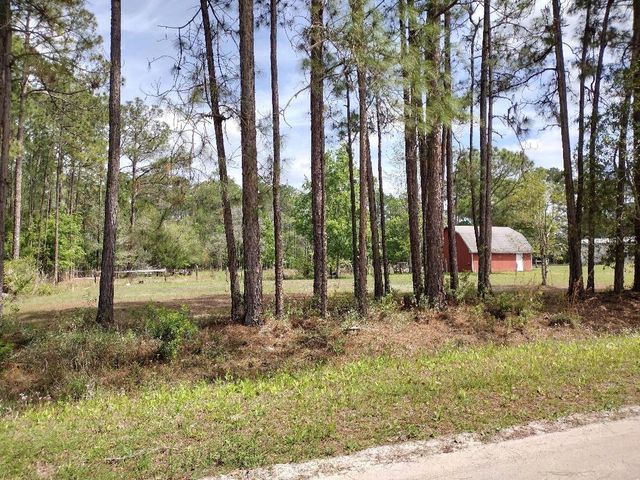 4442 CLOVE AVENUE, Bunnell, FL 32110