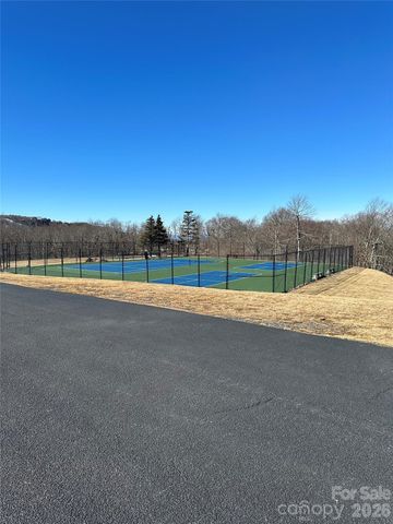 301 Pinnacle Inn Road 4208, Beech Mountain, NC 28604