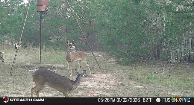 1873 County Road 136a, Hallettsville, TX 77964