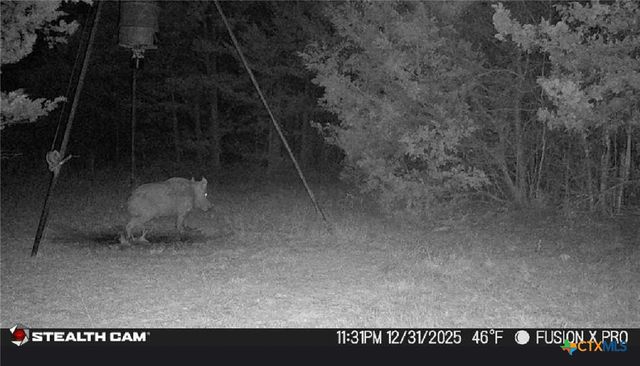 1873 County Road 136a, Hallettsville, TX 77964