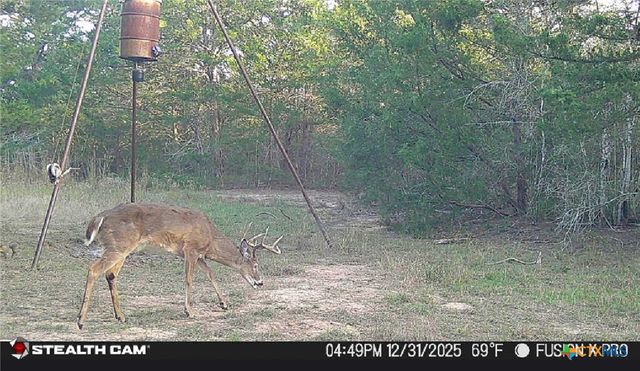 1873 County Road 136a, Hallettsville, TX 77964