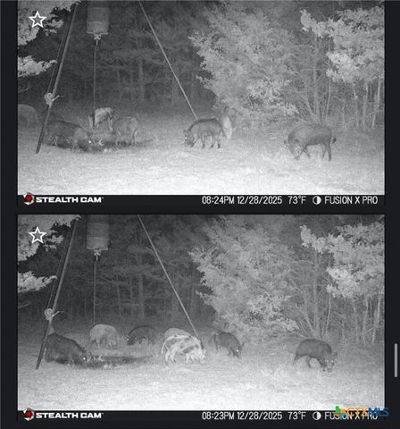 1873 County Road 136a, Hallettsville, TX 77964