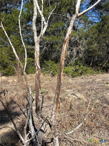 1873 County Road 136a, Hallettsville, TX 77964