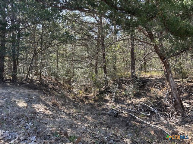 1873 County Road 136a, Hallettsville, TX 77964