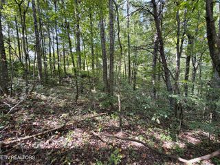 Lot 25 East Drive, Parrottsville, TN 37843