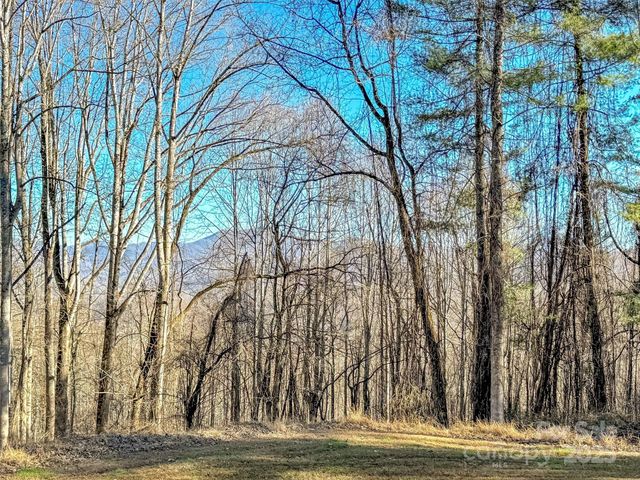 284 Cutting Edge Drive, Sylva, NC 28779