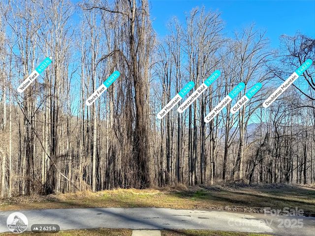 284 Cutting Edge Drive, Sylva, NC 28779