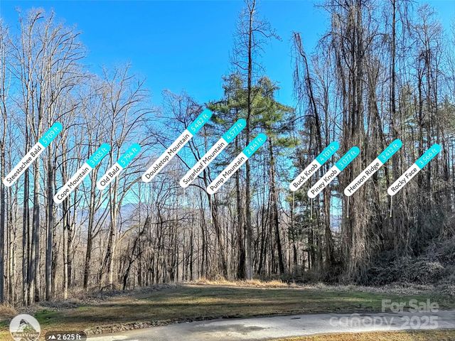 284 Cutting Edge Drive, Sylva, NC 28779