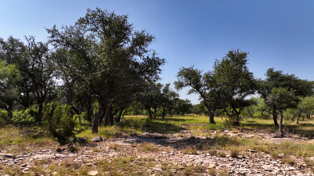Image 23 of property listing at 3360 Farm To Market 2084, Christoval, TX 76935