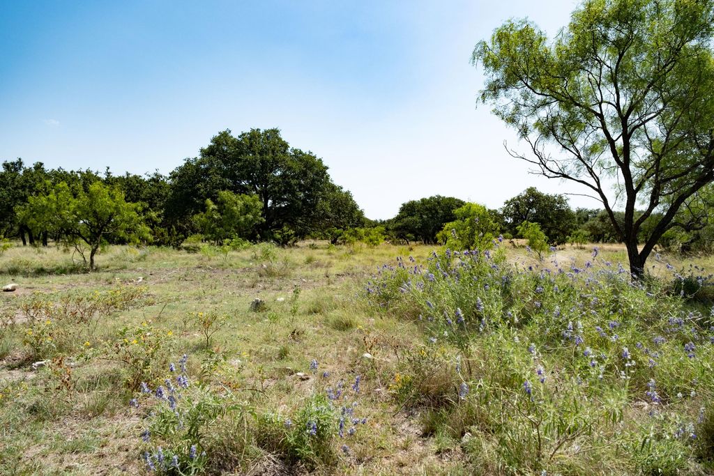 Image 24 of property listing at 3360 Farm To Market 2084, Christoval, TX 76935