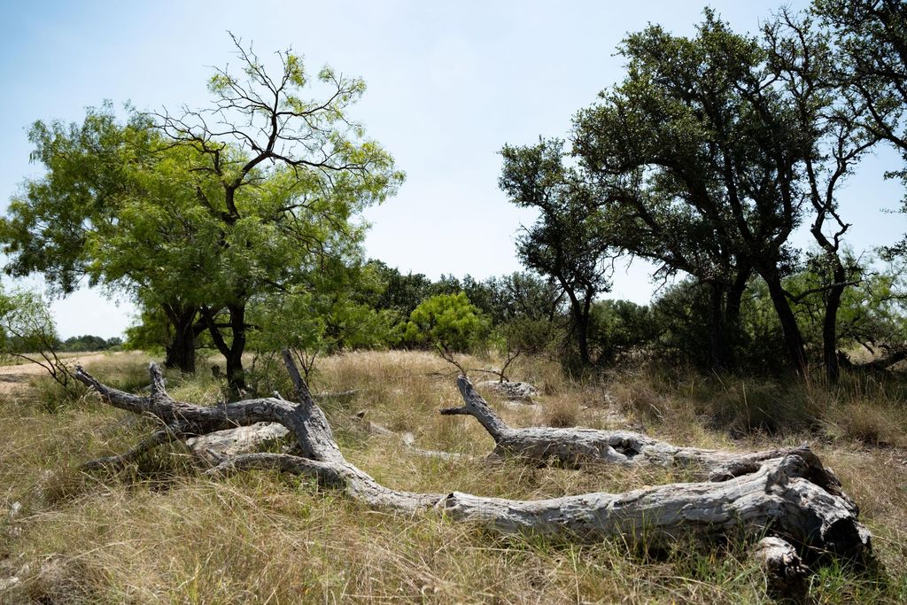 Image 26 of property listing at 3360 Farm To Market 2084, Christoval, TX 76935