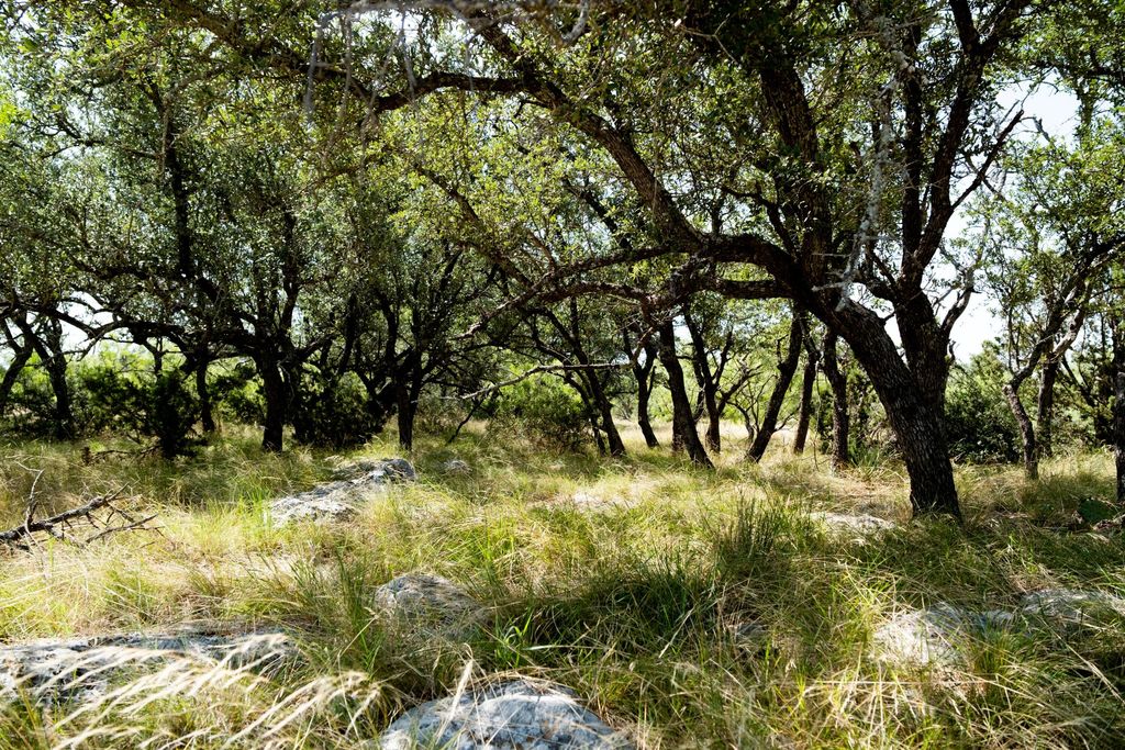 Image 27 of property listing at 3360 Farm To Market 2084, Christoval, TX 76935