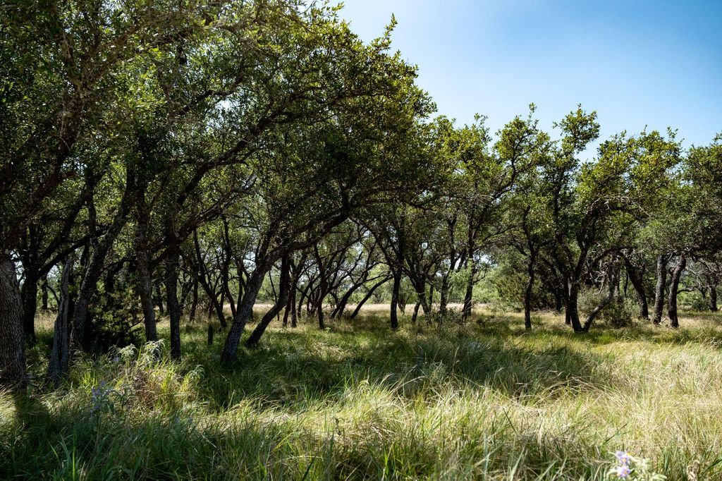 Image 29 of property listing at 3360 Farm To Market 2084, Christoval, TX 76935