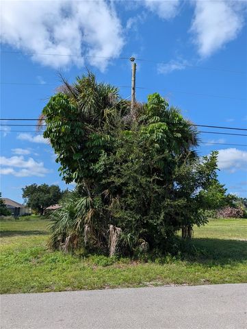 216 SW 12TH STREET, Cape Coral, FL 33991