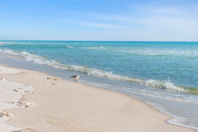 11 Beachside Drive UNIT 912, Santa Rosa Beach, FL 32459