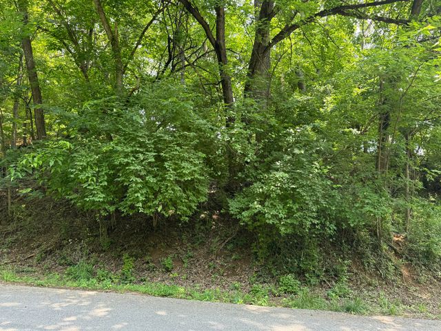 0 Chestnut ST, Vinton, VA 24179