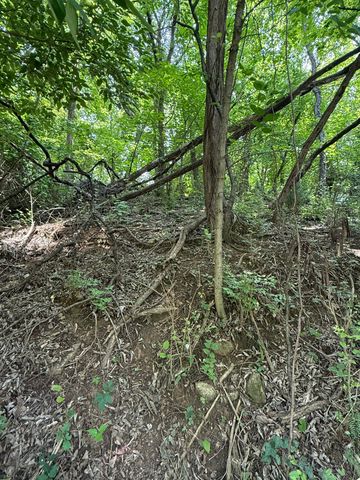 0 Chestnut ST, Vinton, VA 24179