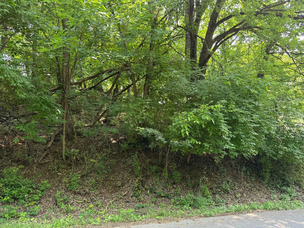 0 Chestnut ST, Vinton, VA 24179