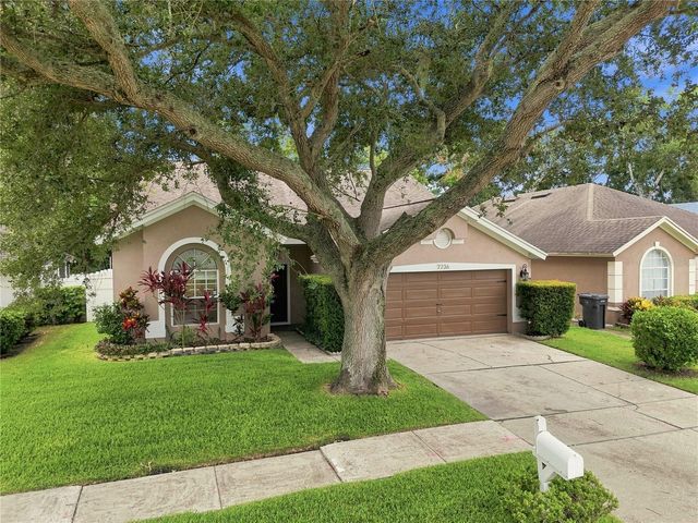 7736 MARBELLA CREEK AVENUE, Tampa, FL 33615