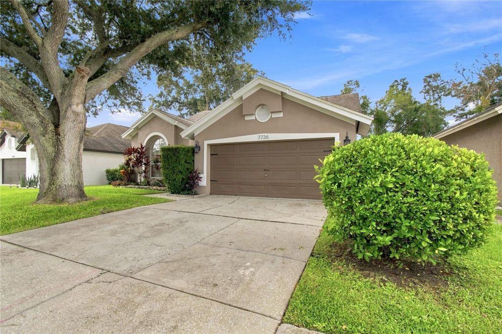 Image 3 of property listing at 7736 MARBELLA CREEK AVENUE, Tampa, FL 33615