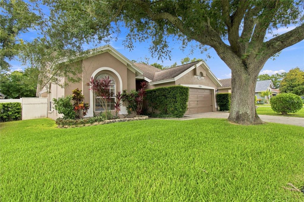 Image 5 of property listing at 7736 MARBELLA CREEK AVENUE, Tampa, FL 33615