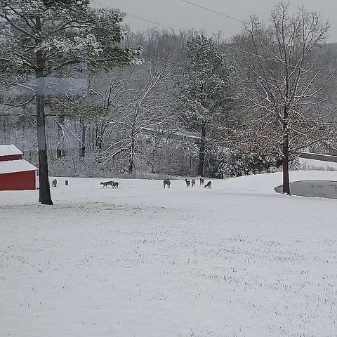 959 Herman Adams Rd, Cumberland City, TN 37050