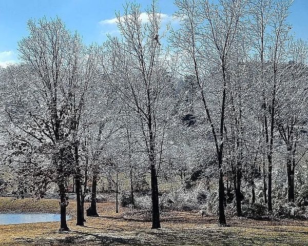 959 Herman Adams Rd, Cumberland City, TN 37050