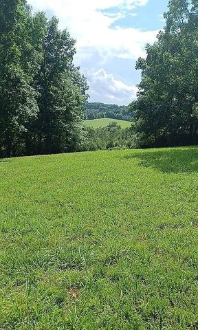 959 Herman Adams Rd, Cumberland City, TN 37050