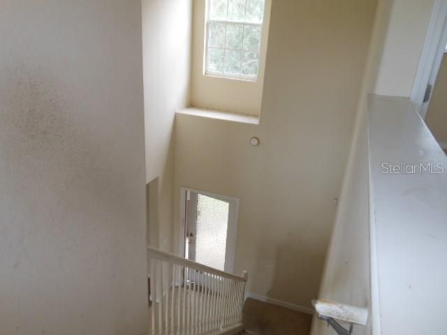10524 SHADY PRESERVE DRIVE, Riverview, FL 33579
