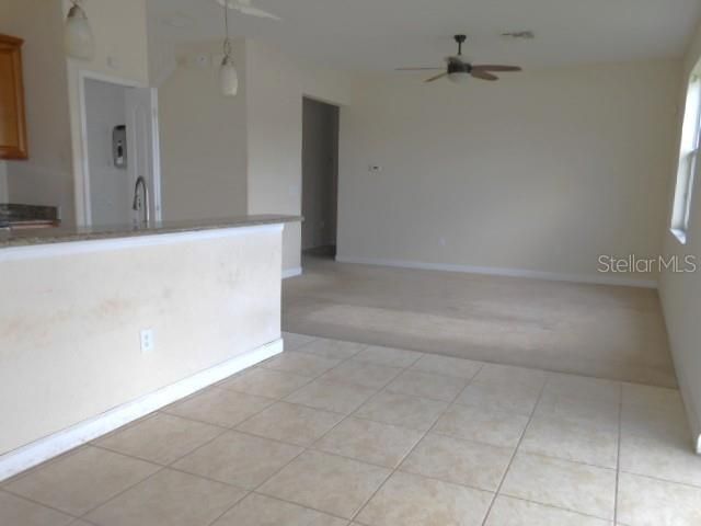 10524 SHADY PRESERVE DRIVE, Riverview, FL 33579