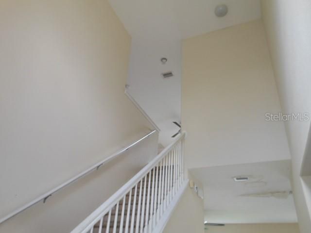 10524 SHADY PRESERVE DRIVE, Riverview, FL 33579