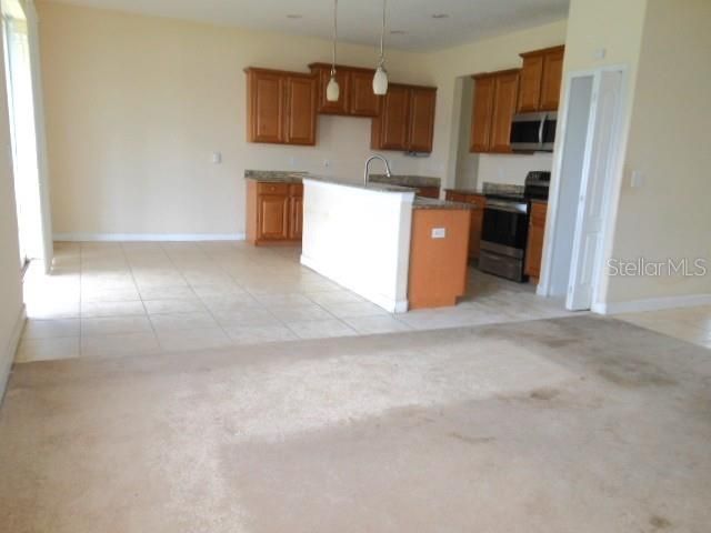 10524 SHADY PRESERVE DRIVE, Riverview, FL 33579