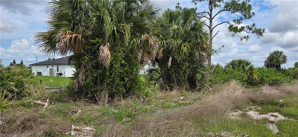 4024 NE 17th AVE, CAPE CORAL, FL 33909 — photo 4