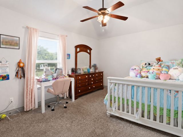 115 Mike Thornton Court, Weatherford, TX 76088