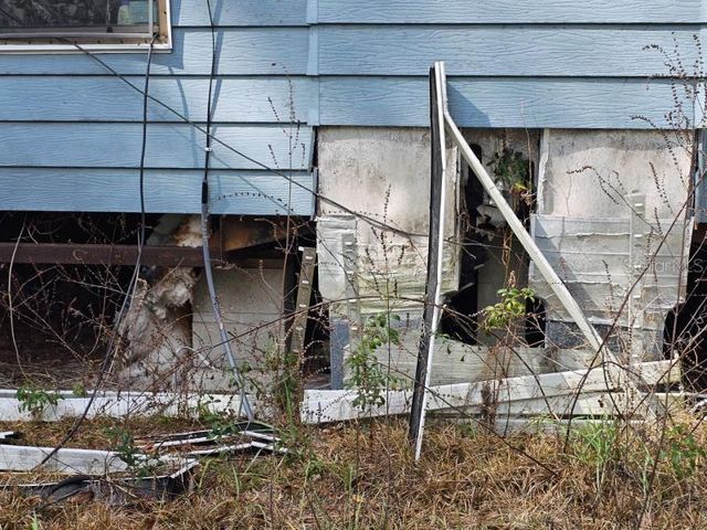 4210 NE 175TH STREET ROAD, Citra, FL 32113