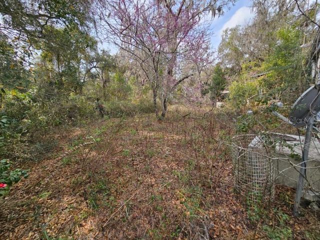 4210 NE 175TH STREET ROAD, Citra, FL 32113