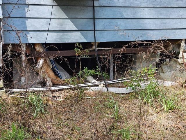 4210 NE 175TH STREET ROAD, Citra, FL 32113