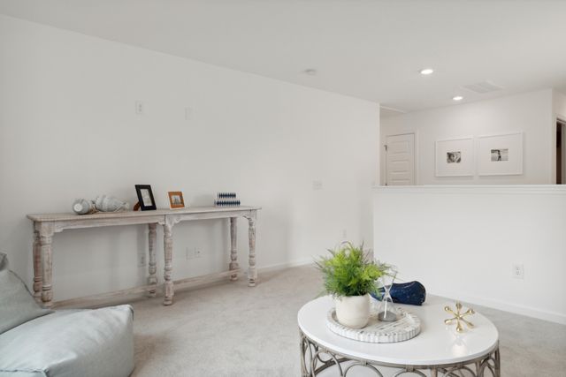 1034 Patagonia Street, Summerville, SC 29485