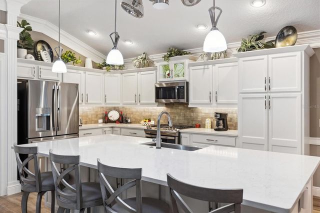 4515 BIGGS PLACE, The Villages, FL 32163