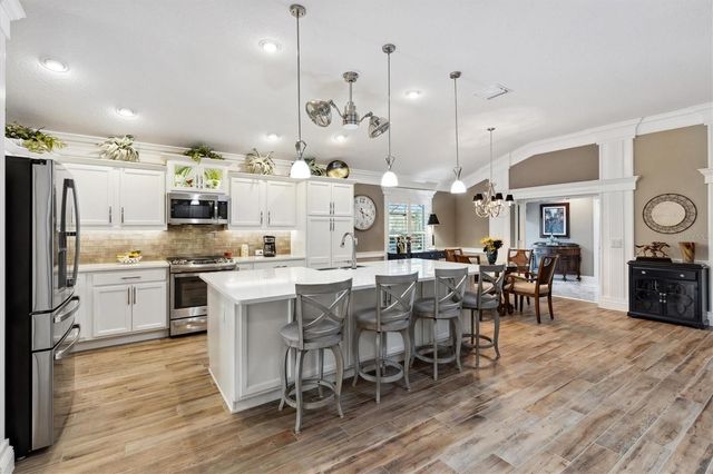 4515 BIGGS PLACE, The Villages, FL 32163