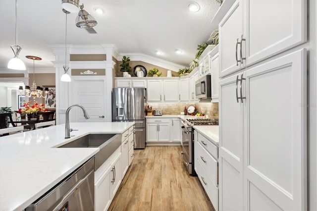 4515 BIGGS PLACE, The Villages, FL 32163