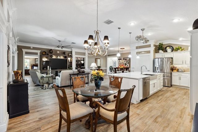 4515 BIGGS PLACE, The Villages, FL 32163