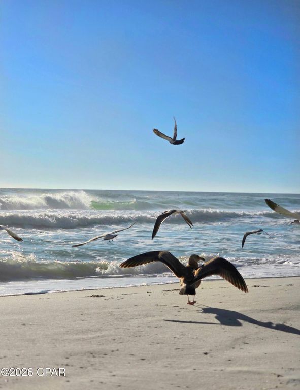 Image 77 of property listing at 8743 Thomas Drive 209, Panama City Beach, FL 32408