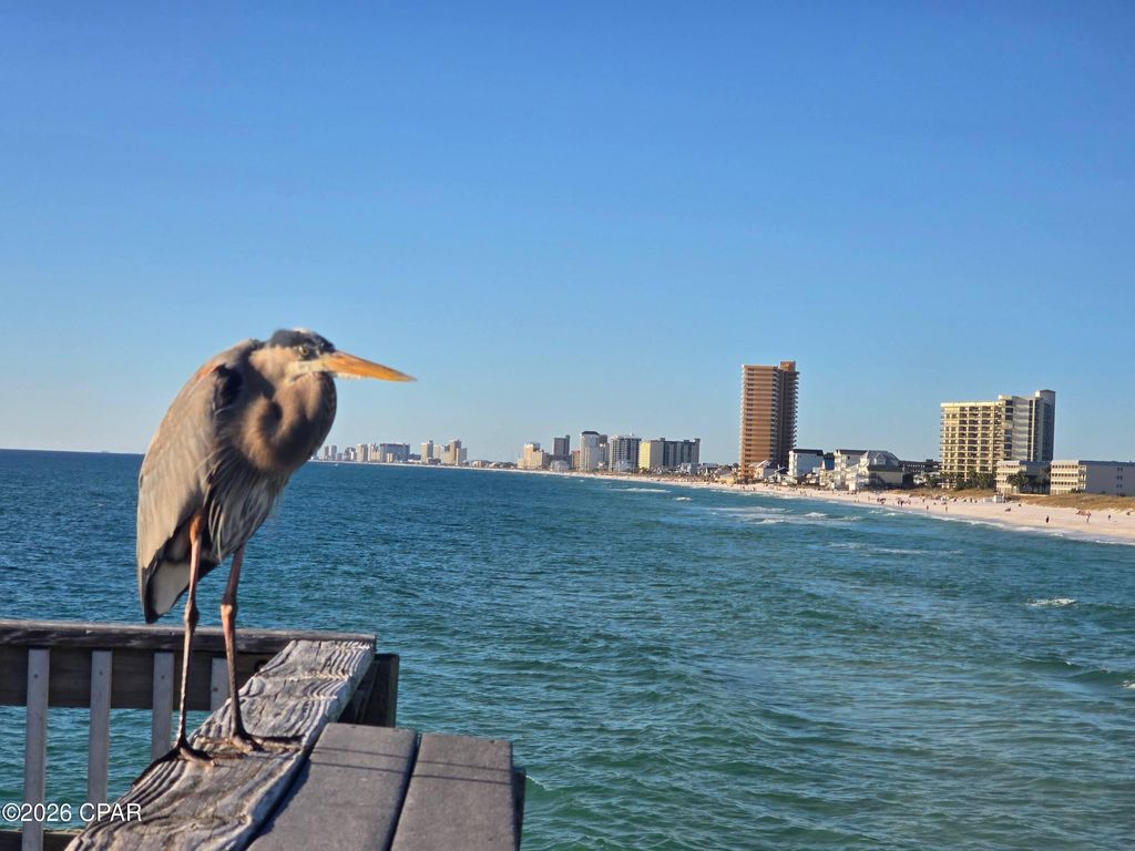 Image 79 of property listing at 8743 Thomas Drive 209, Panama City Beach, FL 32408