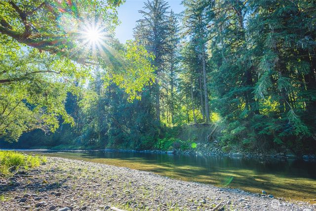 173 Pleasant Meadows, Beaver, WA 98305