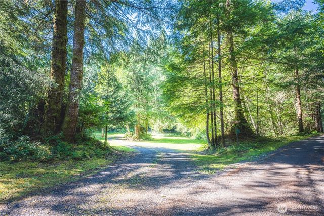 173 Pleasant Meadows, Beaver, WA 98305