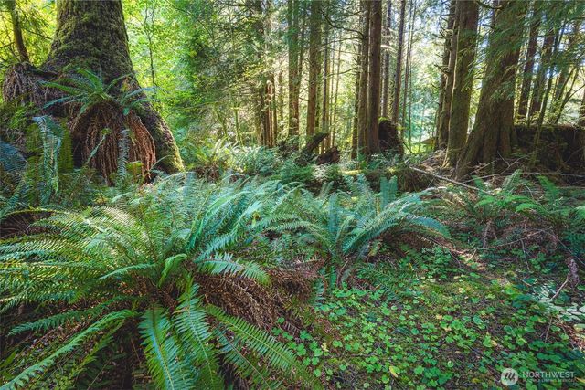 173 Pleasant Meadows, Beaver, WA 98305