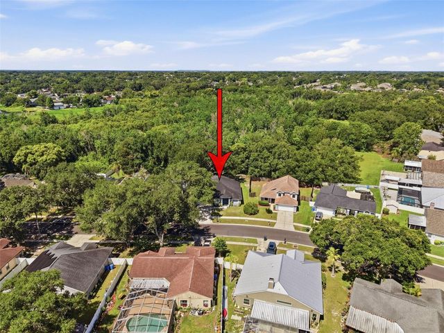 1328 GANGPLANK DRIVE, Valrico, FL 33594
