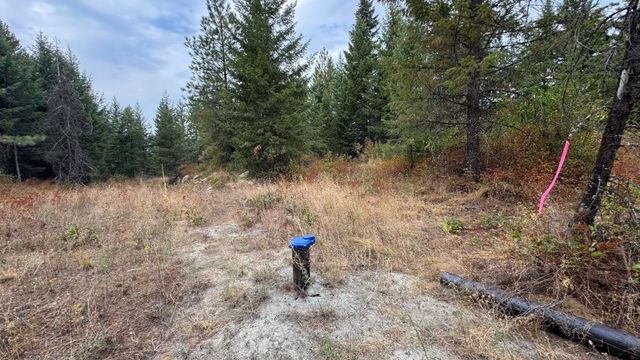10313 Spring Valley Rd, Newport, WA 99156